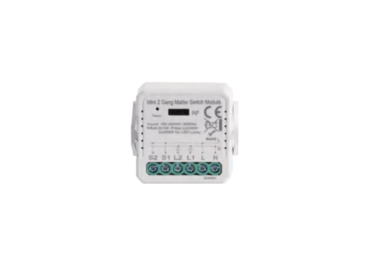 Two-channel Matter switch module, supplier catalogue image