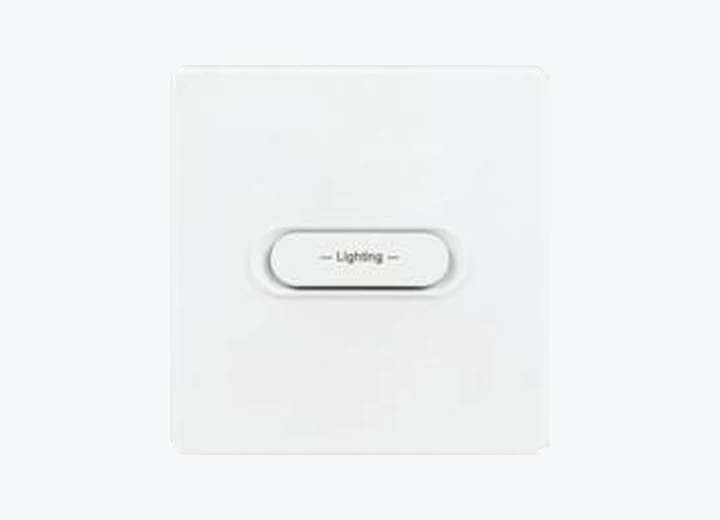 R1 1-gang smart light switch, supplier catalogue image